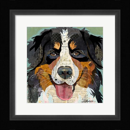 Framed Bernese Print