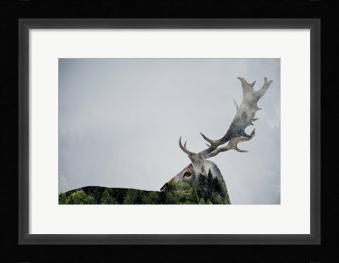 Framed Antler Double-exposed Print