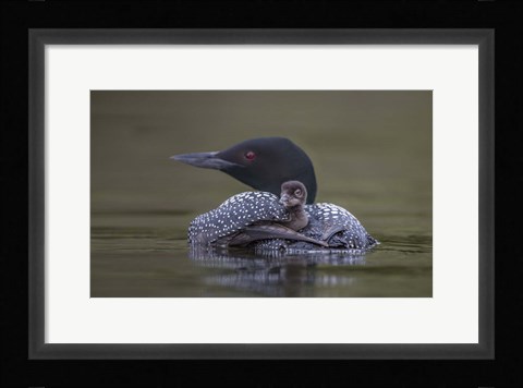 Framed Back Seat Print