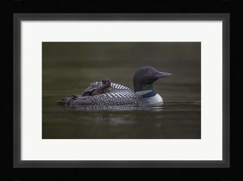 Framed Along for the Ride Print