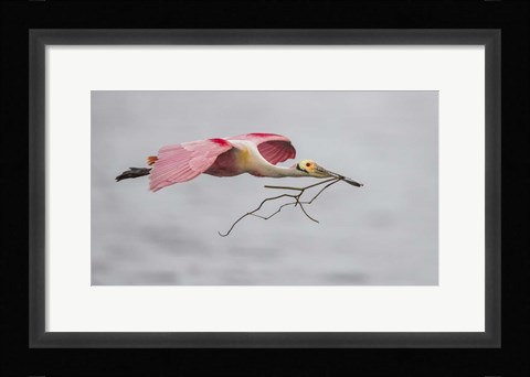 Framed Pink and Grey Print