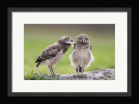 Framed Leave Me Alone! Print