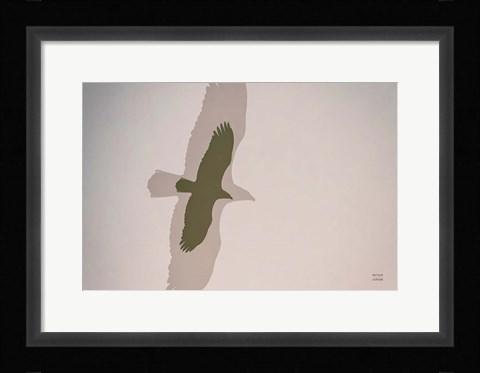 Framed Double Eagle Print