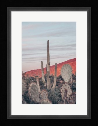 Framed Sunsets and Saguaros II Print