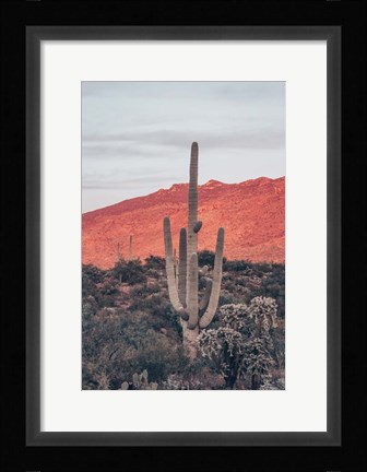 Framed Sunsets and Saguaros I Print