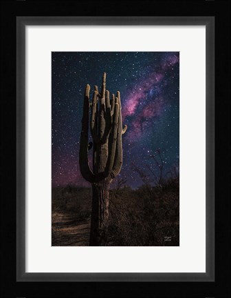 Framed Desert Nights Print