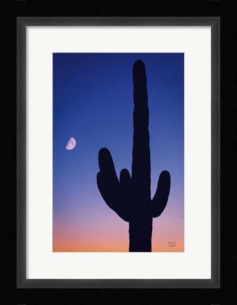 Framed Candy Rock Desert Print