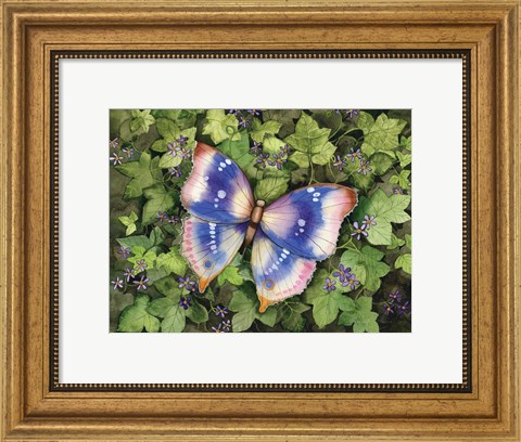 Framed Garden Butterfly Print