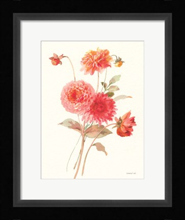 Framed Summer Dahlias I Print