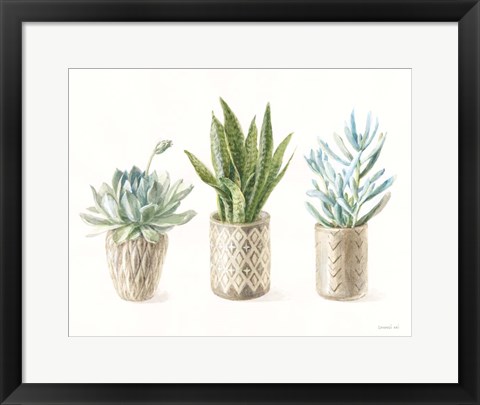 Framed Desert Greenhouse VII Print