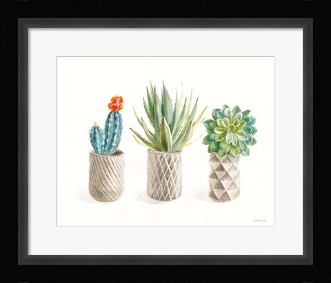 Framed Desert Greenhouse VIII Print