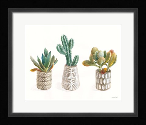 Framed Desert Greenhouse VI Print