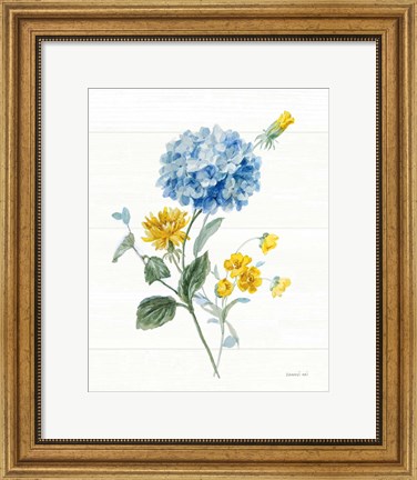 Framed Bees and Blooms Flowers III Print