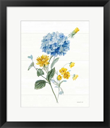 Framed Bees and Blooms Flowers III Print