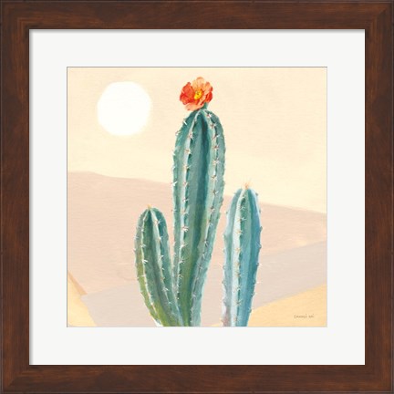 Framed Desert Greenhouse III Print