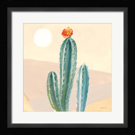 Framed Desert Greenhouse III Print