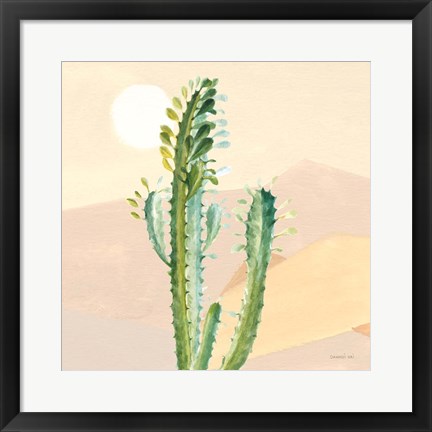 Framed Desert Greenhouse II Print