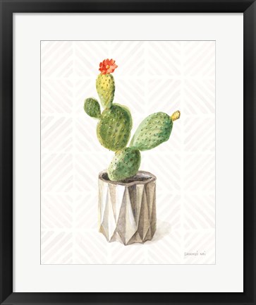 Framed Desert Greenhouse XII Print