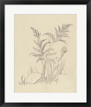 Framed Vintage Nature Sketchbook VI Print