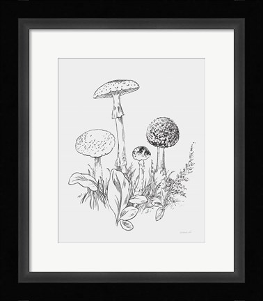 Framed Natures Sketchbook II Bold Light Gray Print