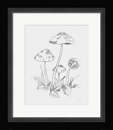 Framed Natures Sketchbook III Bold Light Gray Print