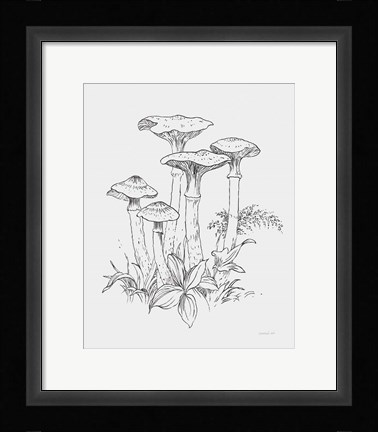 Framed Natures Sketchbook I Bold Light Gray Print