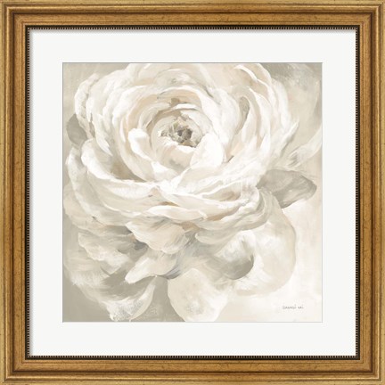 Framed White Rose Gray Print