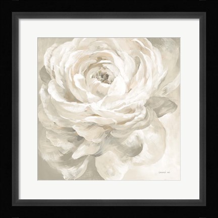 Framed White Rose Gray Print