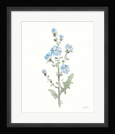 Framed Flowers of the Wild III Print
