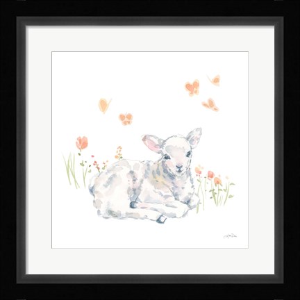 Framed Spring Lambs III Print