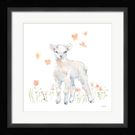 Framed Spring Lambs II Print