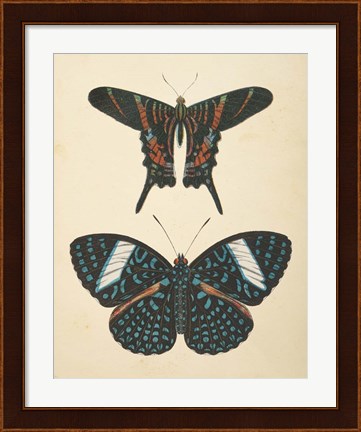 Framed Papillons II Print