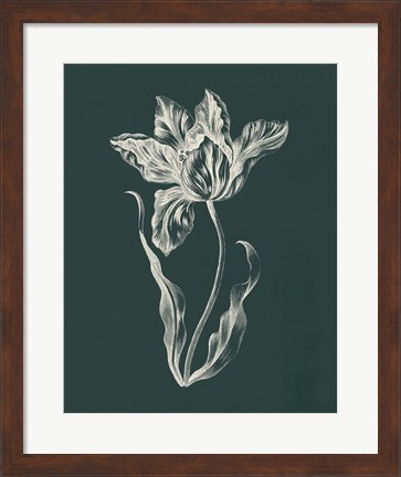 Framed Eden Tulips II Print
