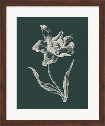 Framed Eden Tulips I Print