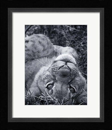 Framed I See You Print