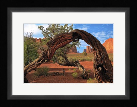 Framed Monument Valley Print
