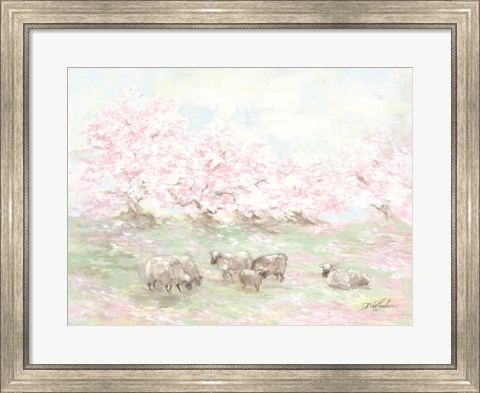 Framed Sheep in Spring Print
