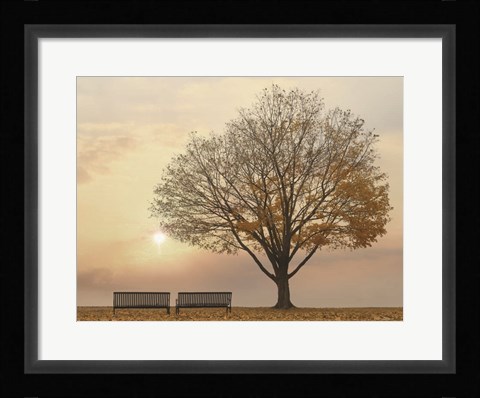 Framed Golden Riverfront Sunrise Print