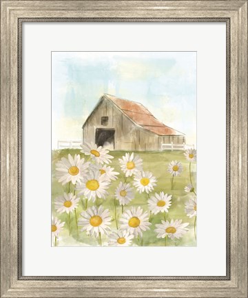 Framed Field of Daisies Print