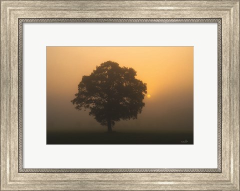 Framed Solitary Oak Print