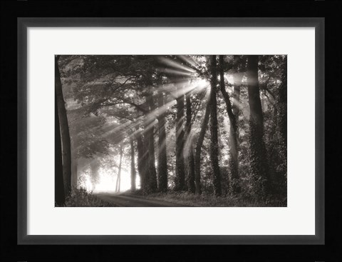 Framed Amazing Rays Print