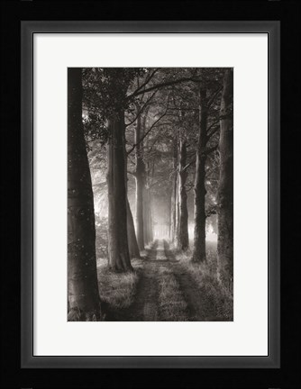 Framed Forest Path Print