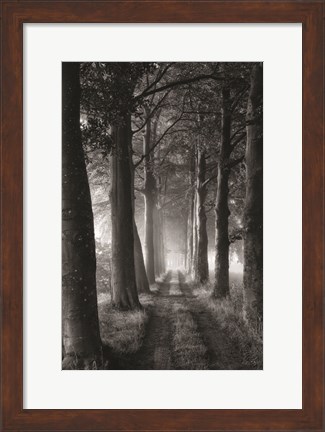 Framed Forest Path Print