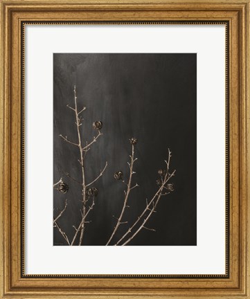 Framed Branches in Noir I Print