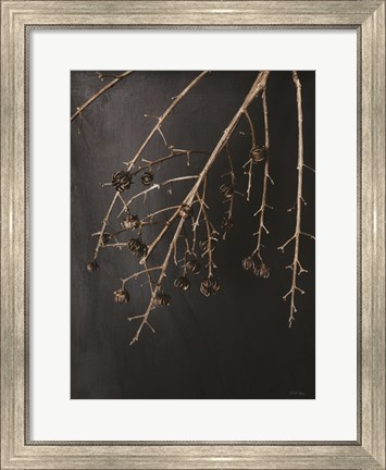 Framed Branches in Noir II Print