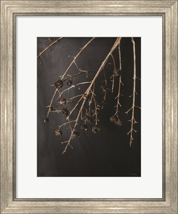 Framed Branches in Noir II Print