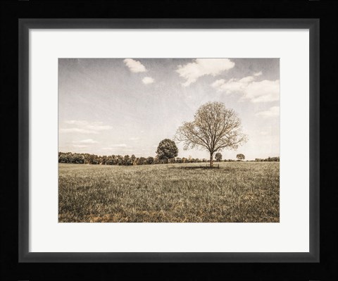 Framed Together in the Fields I Print
