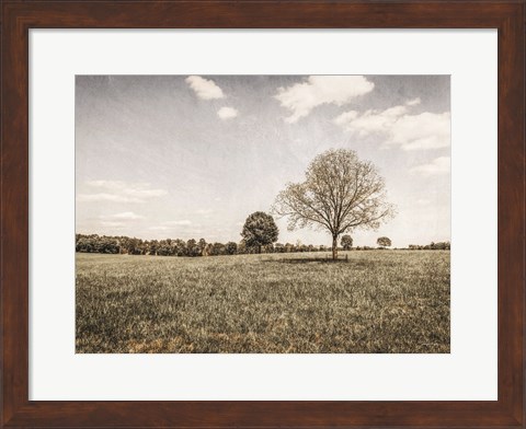 Framed Together in the Fields I Print