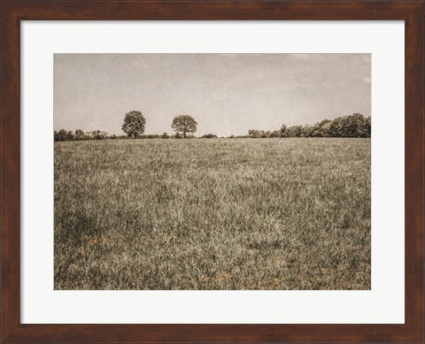 Framed Together in the Fields II Print