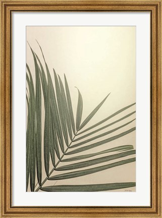 Framed Golden Hour Palm Print